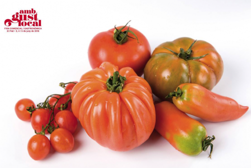 Los tomates del Parque Agreario de Baix Llobregat