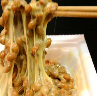 Natto Japonés