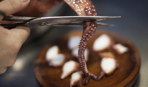 cocina gallega