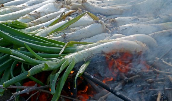 Fabrica Moritz - Los Foodistas